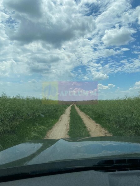 6,26 ha langa DEx12 Pitesti | 2,95 €/mp | acces DJ Pitesti–Craiova